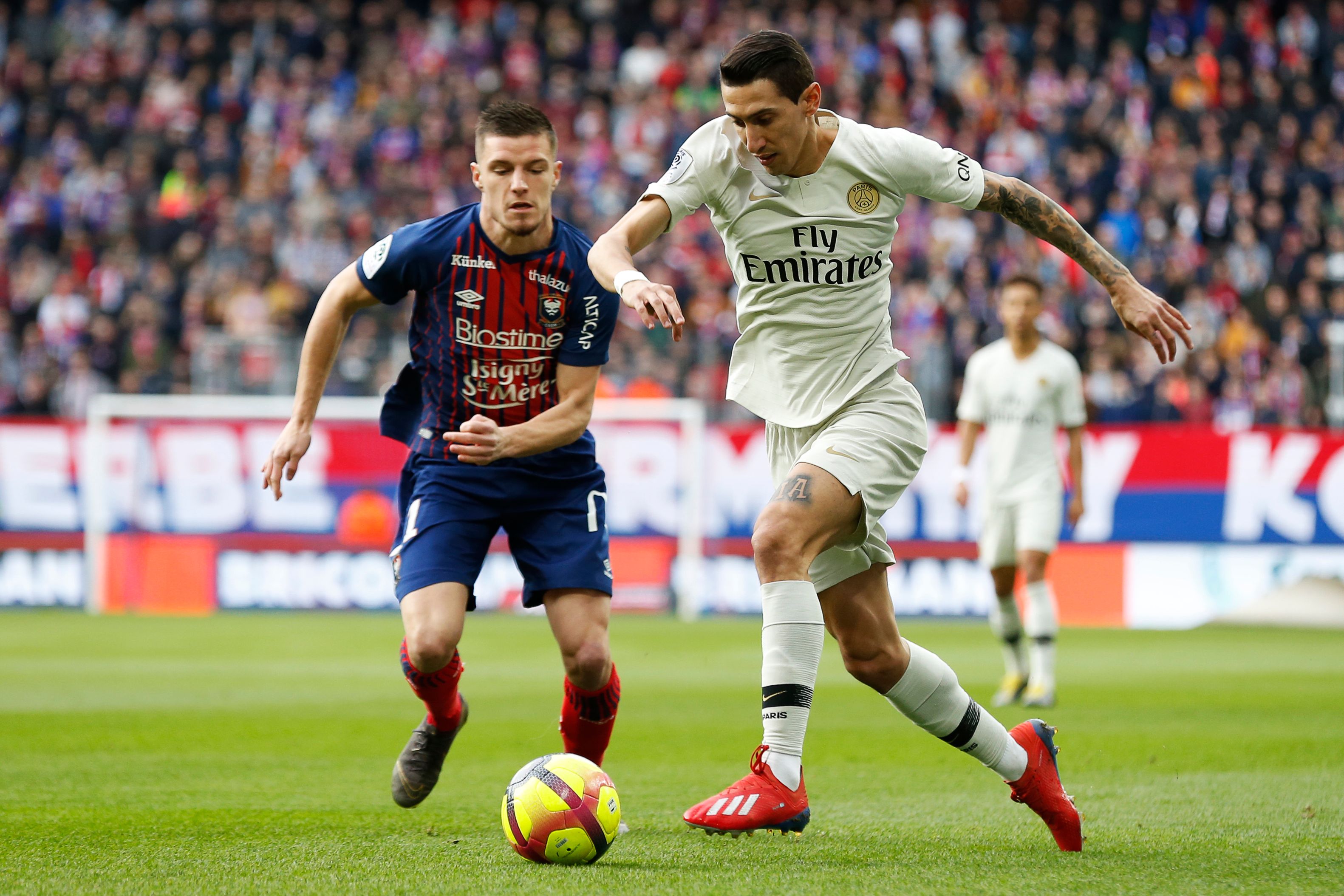 佩杜拉：帕拉迪诺渴望重返意甲，但佛罗伦萨并没有考虑他（佩杜拉：帕拉迪诺盼重回意甲，佛罗伦萨尚未将其列为人选）